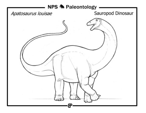 Sauropod Dinosaur (Apatosaurus Louisae) Coloring Page